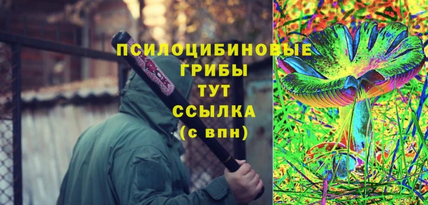 амф Няндома