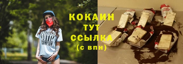 амф Няндома