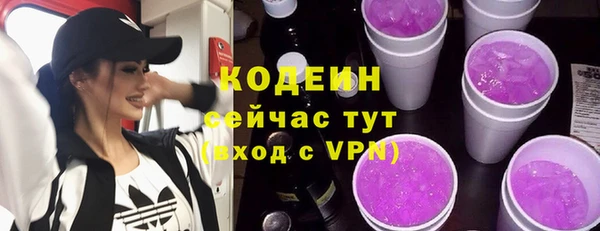 амф Няндома