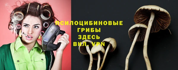 амф Няндома