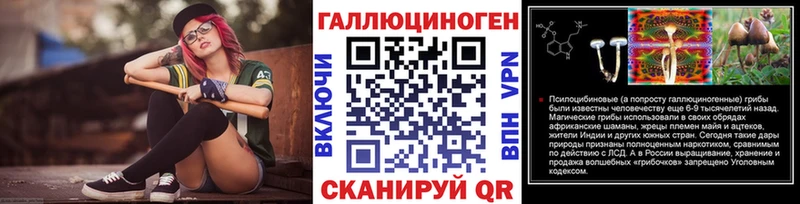 сколько стоит  Кочубеевское  Галлюциногенные грибы Psilocybine cubensis 